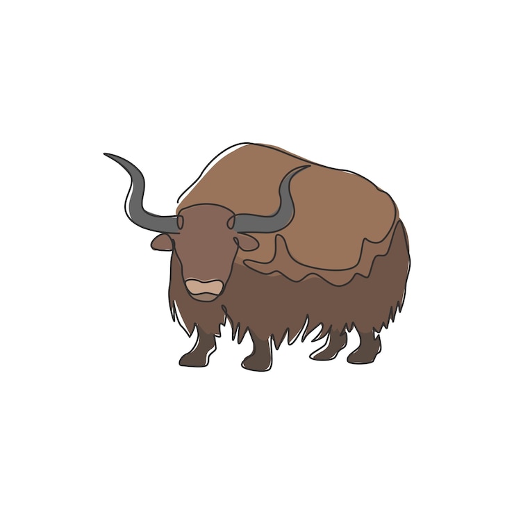 Vector dibujo de una sola línea continua del galante yak mascota bóvida domesticada de pelo largo para el ícono del parque