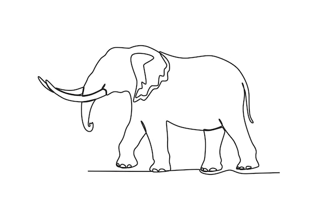Dibujo de una sola línea de un elefante Ilustración de vector gráfico de diseño de dibujo de línea continua