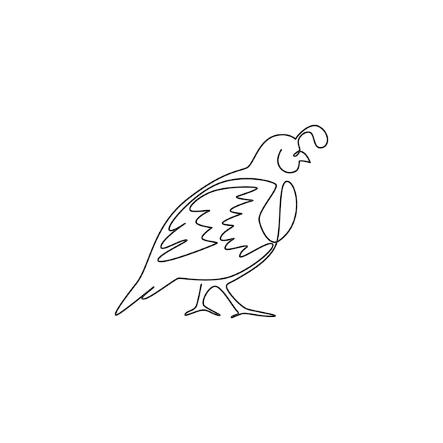 Un dibujo de una sola línea de una graciosa codorniz del valle, un icono del zoológico del parque nacional de la mascota del ave codorniz de California