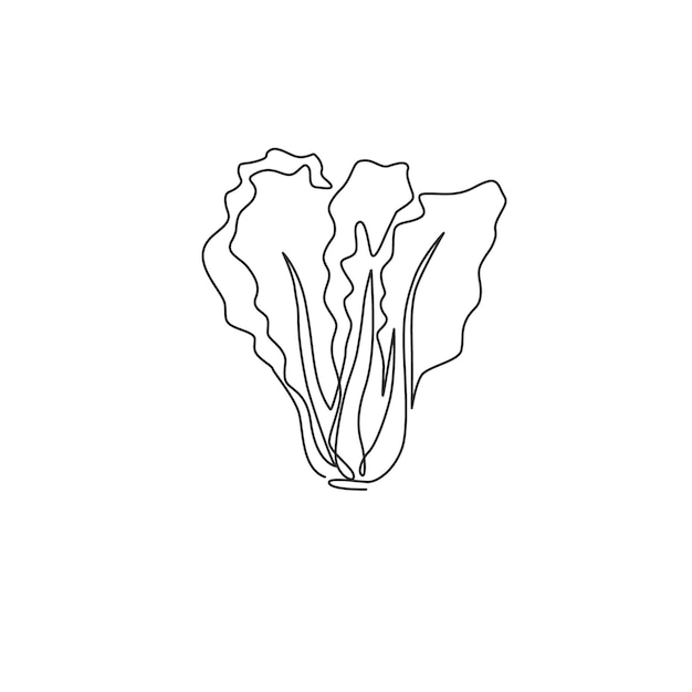 Un dibujo de una sola línea de hojas verdes de mostaza orgánica Ilustración de icono de verdura de brassica fresca