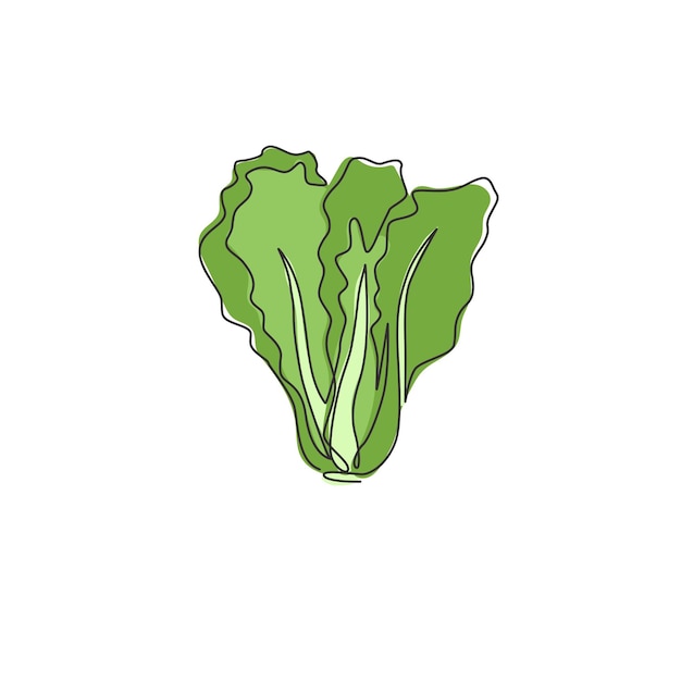 Un dibujo de una sola línea de hojas verdes de mostaza orgánica Ilustración de icono de verdura de brassica fresca