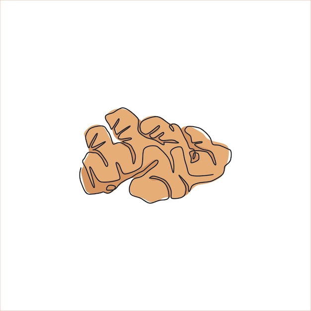 Un dibujo de una sola línea de jengibre orgánico para el logotipo de la granja Icono de rizoma de planta con flores frescas herbáceas