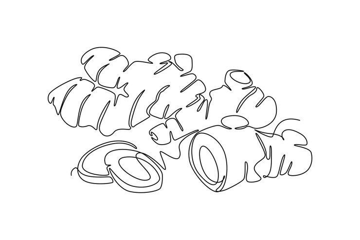 Vector dibujo de una sola línea de jengibre orgánico saludable para la cosecha identidad del logotipo concepto de rizoma de planta con flores frescas icono perenne herbáceo diseño de dibujo de línea continua ilustración gráfica vectorial