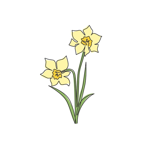 Un dibujo de una sola línea, logotipo de jardín de narcisos, vector de diseño de flor de narciso decorativo imprimible