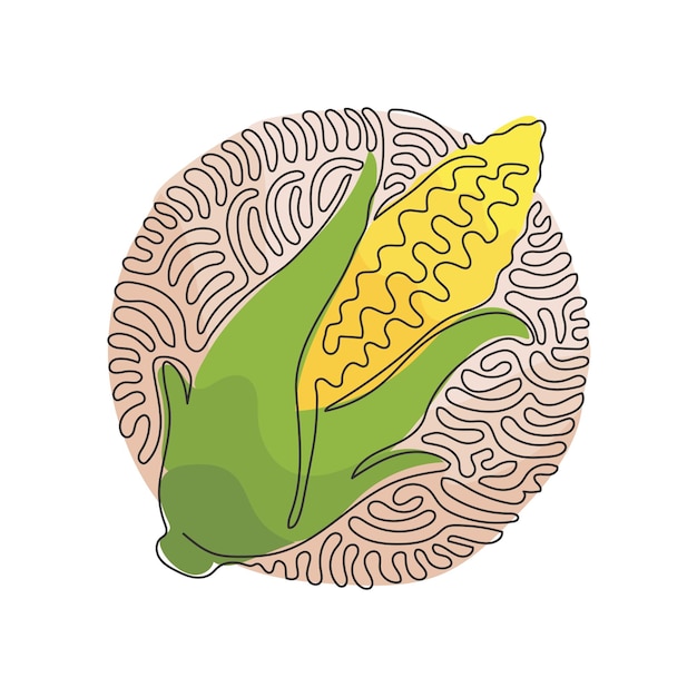 Dibujo de una sola línea de mazorcas de maíz dulce descascarilladas. Verduras frescas con vector gráfico con alto contenido de azúcar.