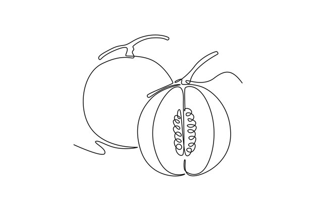 Dibujo de una sola línea de melón orgánico sano entero y cortado en mitades para la identidad del logotipo del huerto Concepto de frutas frescas para el icono del huerto Dibujo en línea continua Diseño gráfico de ilustración vectorial