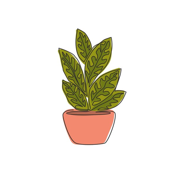 Un dibujo de una sola línea de una planta de aglaonema tropical en maceta Decoración de plantas de interior decorativas imprimibles