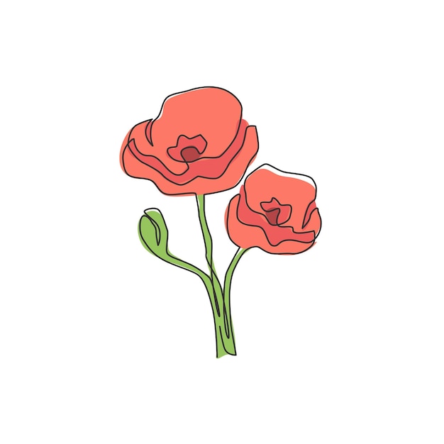 Dibujo de una sola línea de una planta herbácea de belleza para un cartel de arte de pared Vector de diseño de flores de amapola