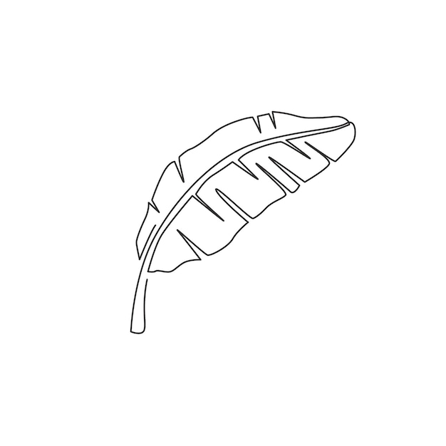 Un dibujo de una sola línea de una planta de hoja de plátano tropical Ilustración vectorial de diseño de líneas continuas