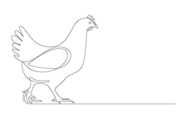 Dibujo de una sola línea de un pollo caminando