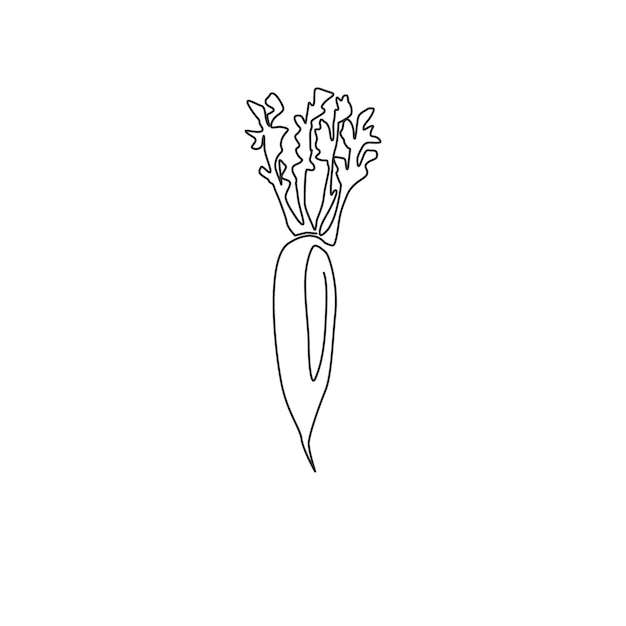 Vector un dibujo de una sola línea de rábano blanco orgánico sano entero vector de diseño daikon japonés fresco