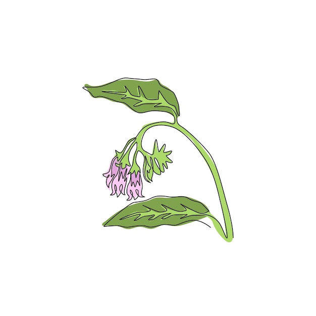 Dibujo de una sola línea de simfito de belleza para el logotipo del jardín Flor de Comfrey para el arte de la pared de la decoración del hogar