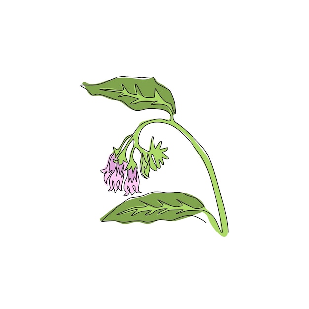 Vector dibujo de una sola línea de simfito de belleza para el logotipo del jardín flor de comfrey para el arte de la pared de la decoración del hogar