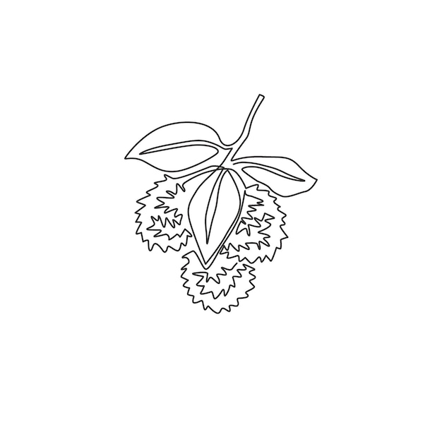 Un dibujo de una sola línea de todo el montón de rambutanes saludables logotipo de huerto de frutas tropicales frescas icono