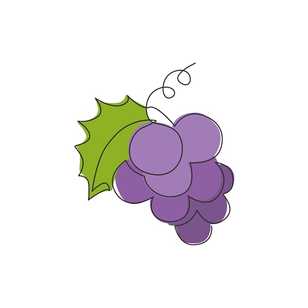 Vector dibujo de una sola línea de uva orgánica saludable para el logotipo del viñedo icono de fruta tropical fresca