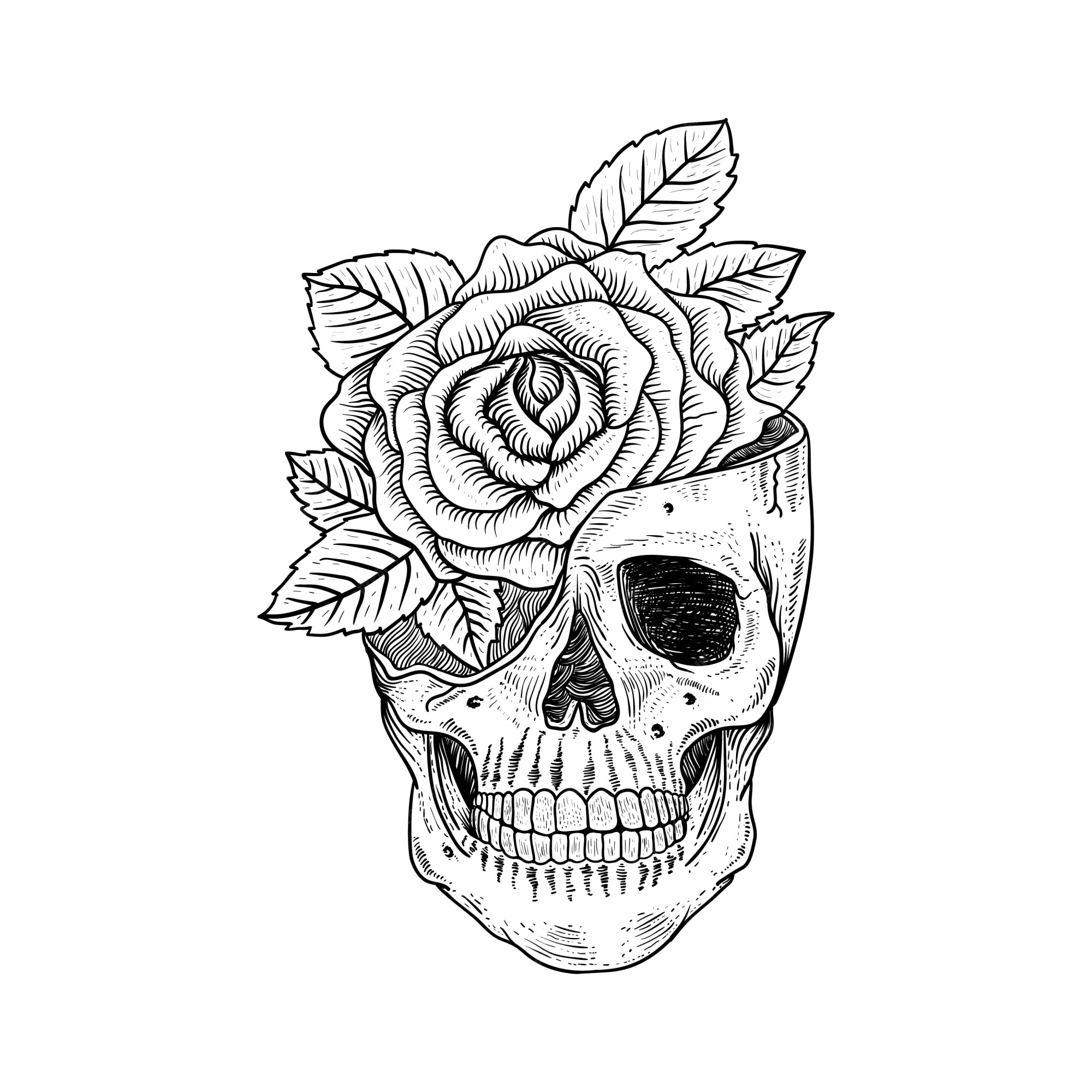 Dibujo de tatuaje y camiseta de diseño de calavera y rosa premium | Vector  Premium