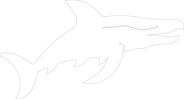 un dibujo de un tiburón con una línea dibujada en él