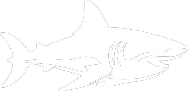 un dibujo de un tiburón con un tiburó en la parte superior