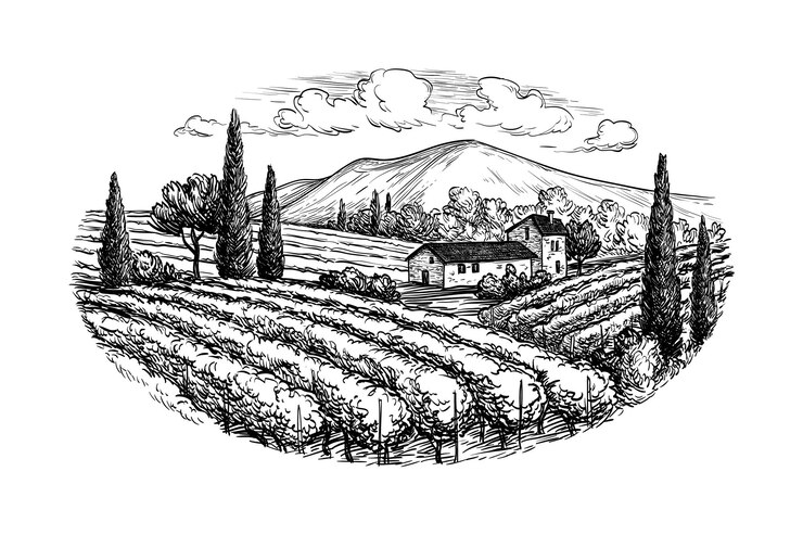 Vector dibujo de tinta de paisaje de viñedo