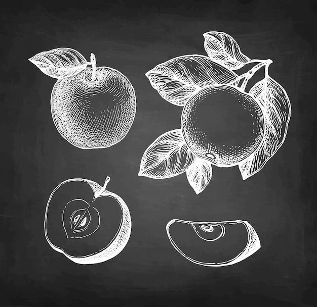 Dibujo de tiza de manzana