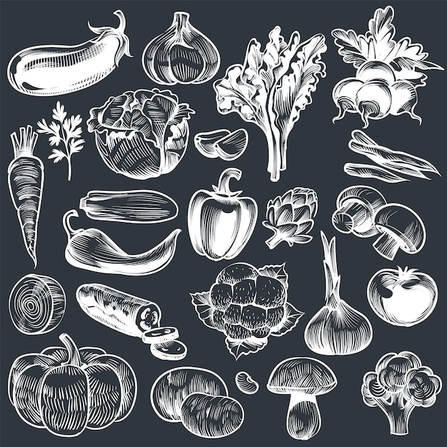 Dibujo de tiza de verduras. Varios vegetales dibujados a mano vintage, zanahorias orgánicas, brócoli, berenjena, repollo y champiñones, cultivo de alimentos. Vector de dibujo en pizarra