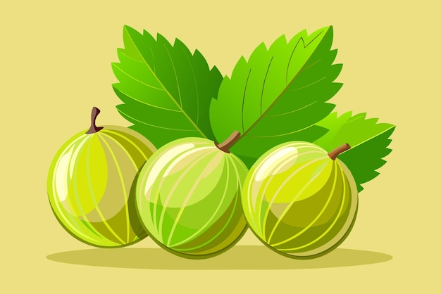 un dibujo de tres kiwis con hojas y una hoja que dice kiwi