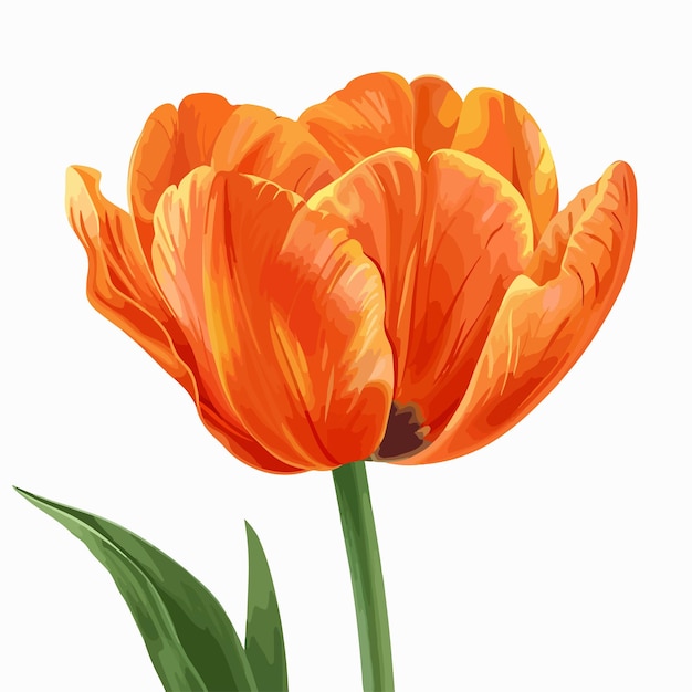 un dibujo de un tulipán que está pintado en amarillo y naranja