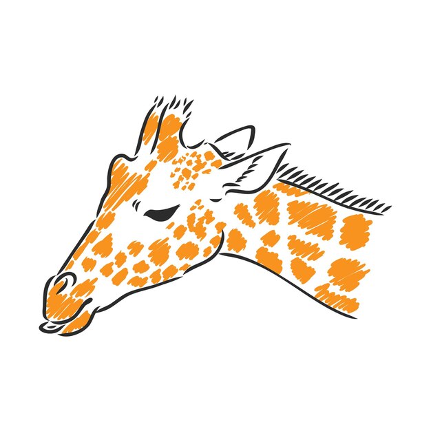 Dibujo vectorial en blanco y negro de un retrato de antílope Nyala macho de un dibujo vectorial de jirafa