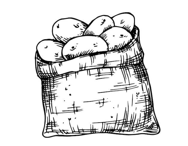 dibujo vectorial de bolsas de patatas en estilo boceto