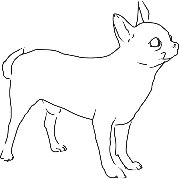 Dibujo vectorial bosquejado a mano de perro chihuahua