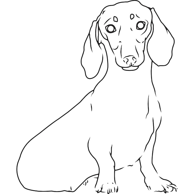 Dibujo vectorial bosquejado a mano de perro dachshund