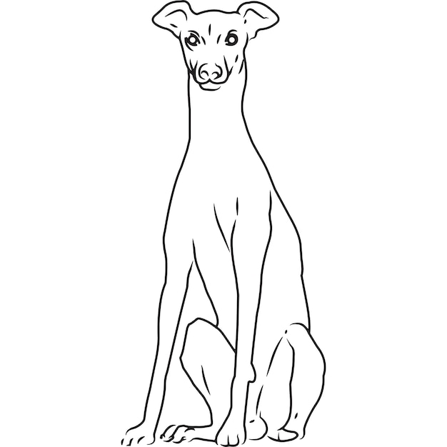 Dibujo vectorial bosquejado a mano de perro galgo