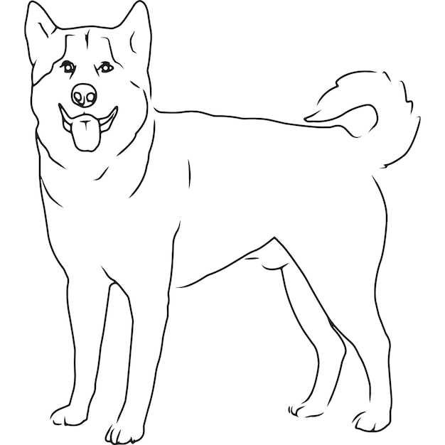 Dibujo vectorial bosquejado a mano de perro malamute de alaska