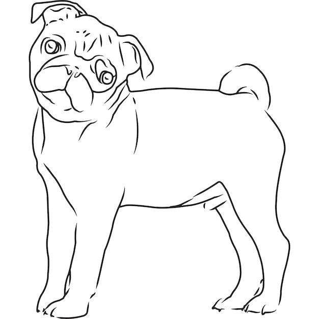 Vector dibujo vectorial bosquejado a mano de perro pug