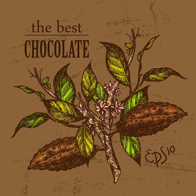 Vector dibujo vectorial dibujado a mano ilustración chocolate us para invitaciones de tarjetas postales y menú