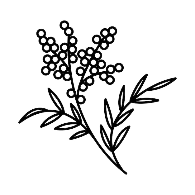 Dibujo vectorial de una flor de primavera en la boda de plantilla de flor vintage de estilo doodle