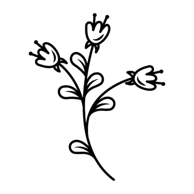 Dibujo vectorial de una flor de primavera en la boda de plantilla de flor vintage de estilo doodle