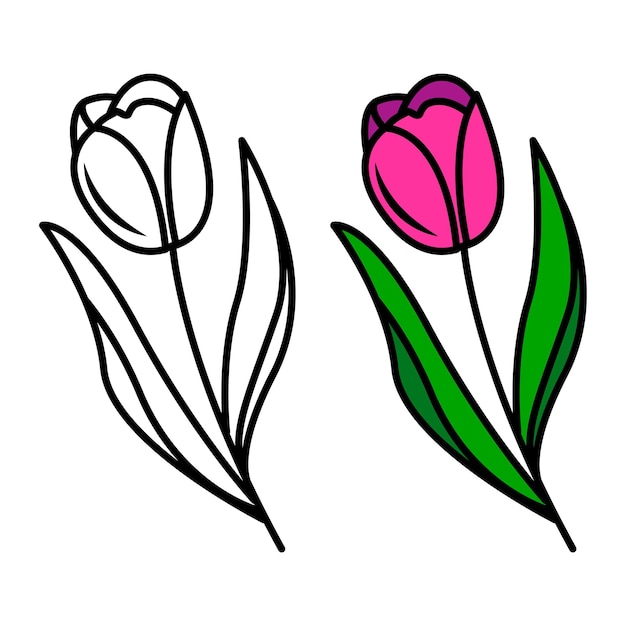 Vector dibujo vectorial de flores de tulipán elemento floral aislado en estilo garabato