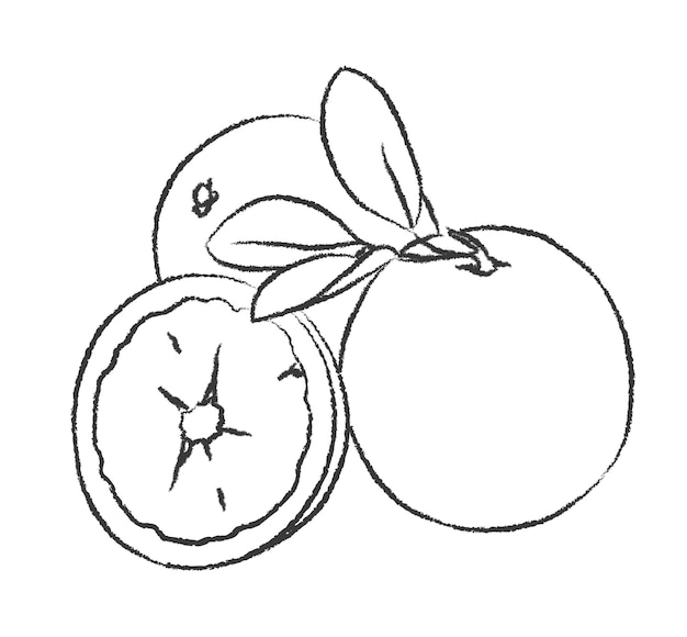 Dibujo vectorial de frutas naranjas