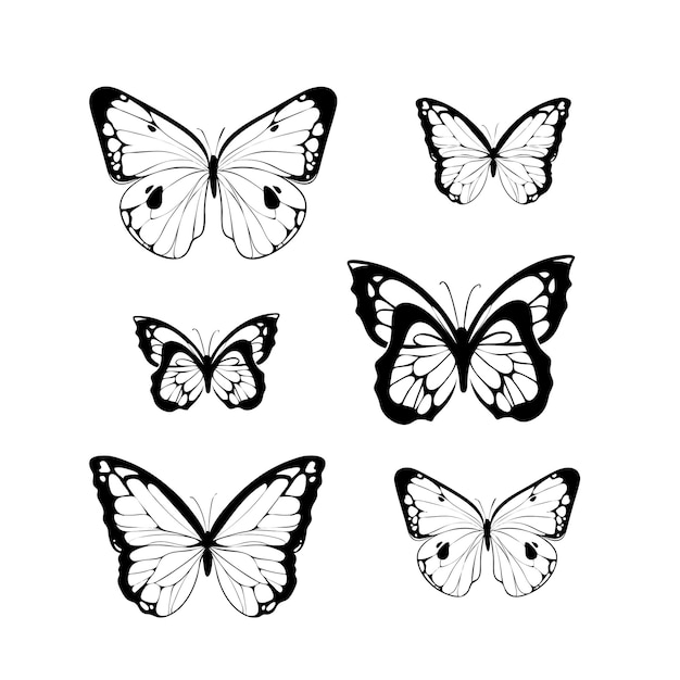 Dibujo vectorial de una hermosa mariposa tatuaje de mariposa