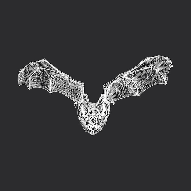 Dibujo vectorial de murciélago volador dibujado símbolo de halloween