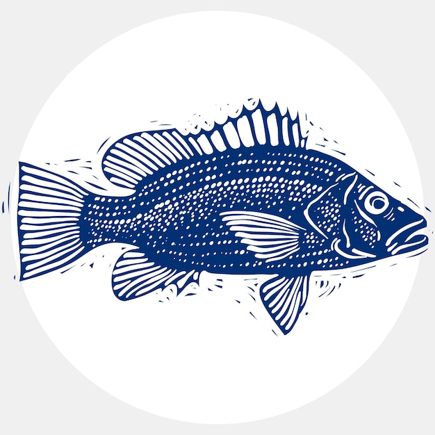 Dibujo vectorial de peces de agua dulce con aletas, ilustración de vida submarina. Símbolo gráfico de mariscos orgánicos aislado en blanco.
