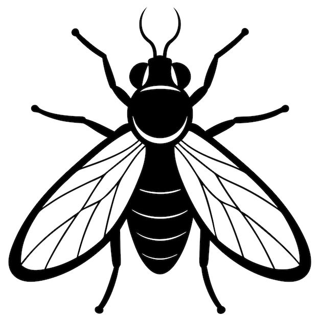 Dibujo vectorial realista de la mosca doméstica