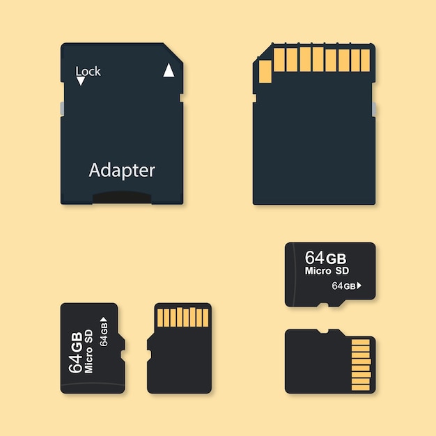 Dibujo vectorial de tarjeta SD y adaptador