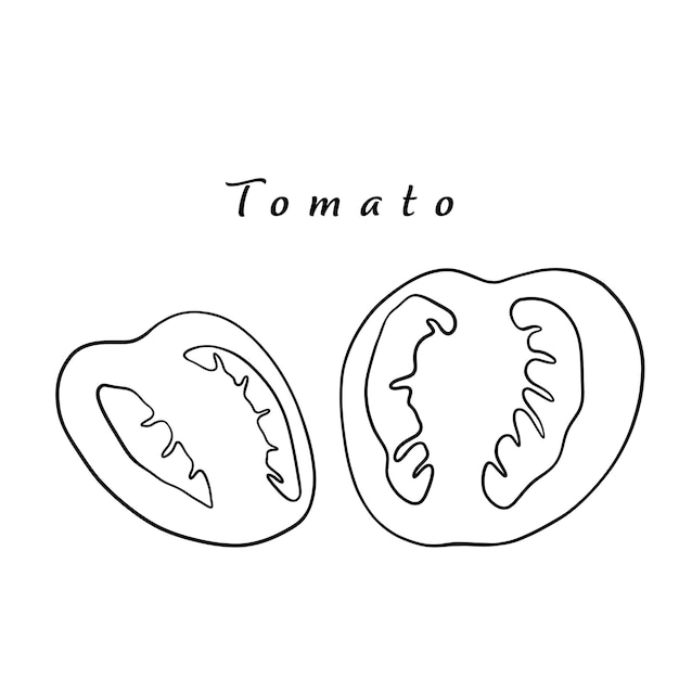 Dibujo vectorial de tomate Rodajas de tomate aisladas Línea negra y fondo blanco