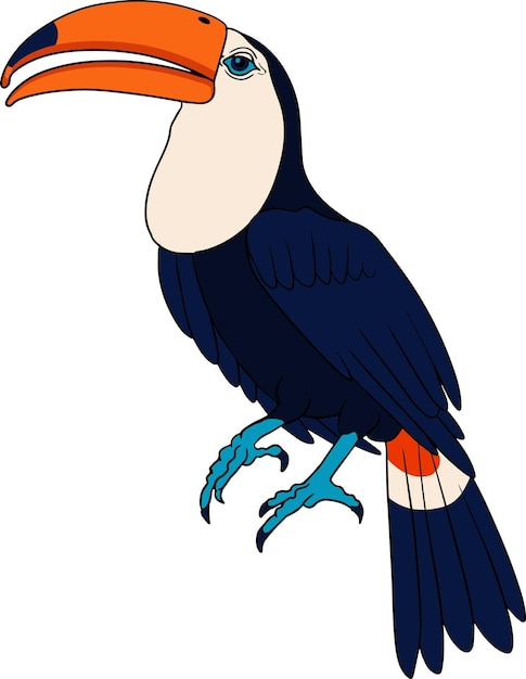Dibujo vectorial de tucán de pájaro dibujado a mano