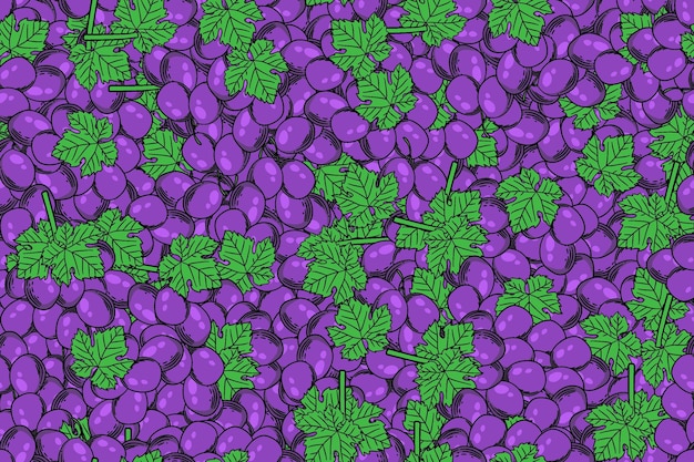 dibujo vectorial de uvas sin costuras