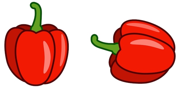 Vector dibujo vegetal de pimiento rojo simple