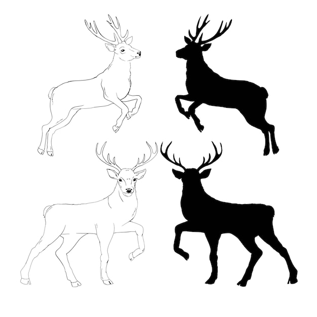 Dibujo de venado