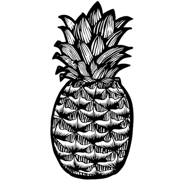 Vector dibujo de xilografía de frutas tropicales de ilustración dibujada a mano de piña